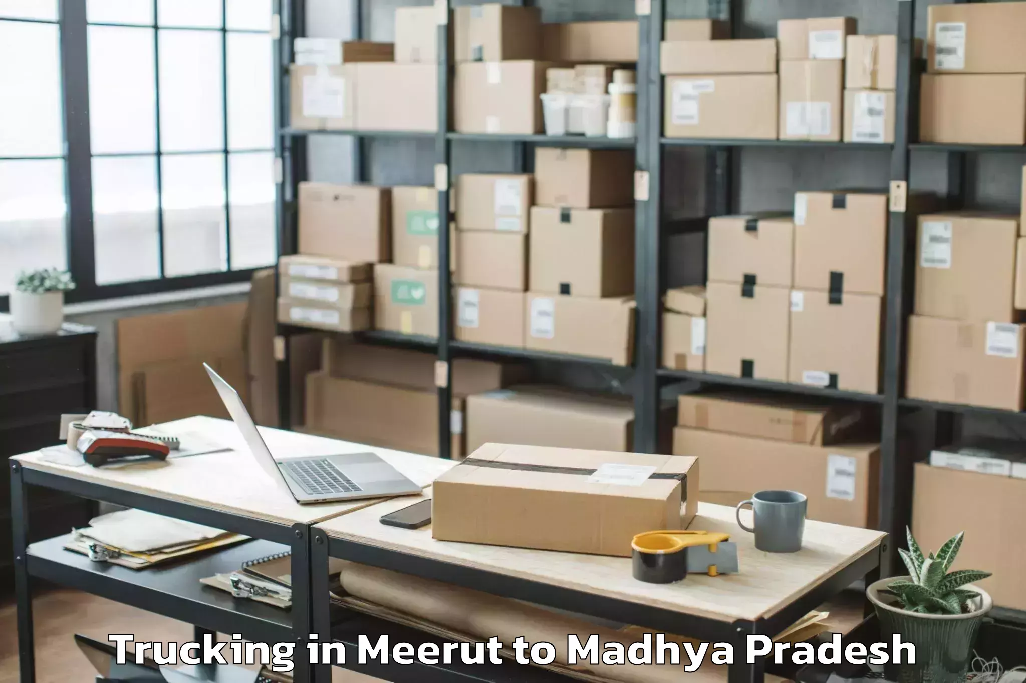 Professional Meerut to Mahidpur Trucking